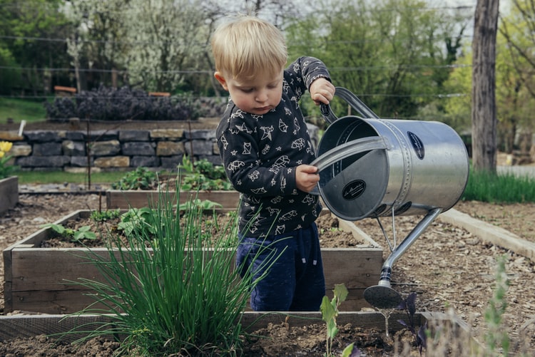 La metafora del giardino. Fai fiorire la tua vita.